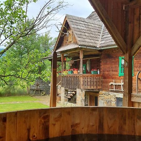 Pajisti Verzi / Green Meadows Guest House Viseu de Sus Exterior photo